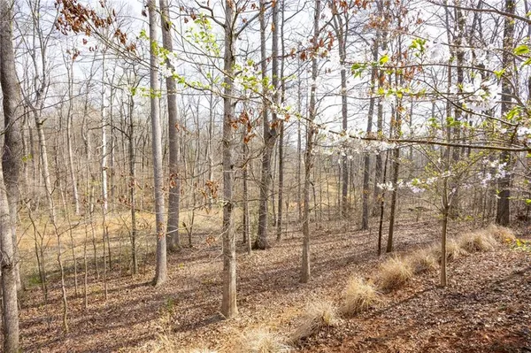 $1,150,000 | 645 Wynnewood Court, Powder Springs, GA 30127