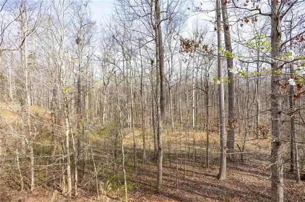 $1,150,000 | 645 Wynnewood Court, Powder Springs, GA 30127