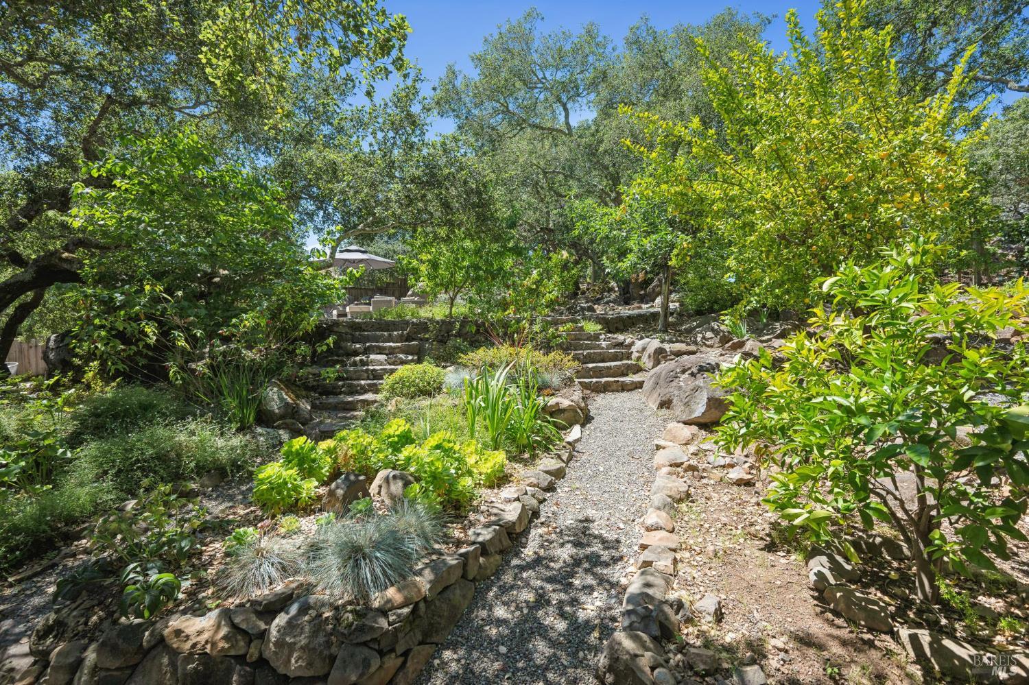 3335 Scrub Oak Drive Santa Rosa, CA 95404 - Photo 68 of 79
