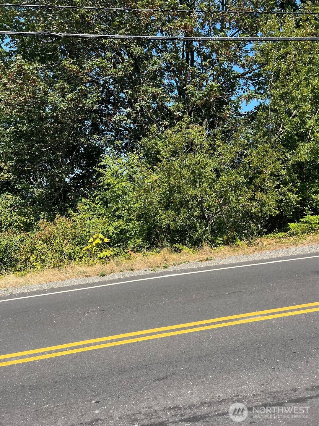 106 Xx Macarthur Lane Mukilteo, WA 98275 - Photo 2 of 9 a view of a bathtub and next to a yard