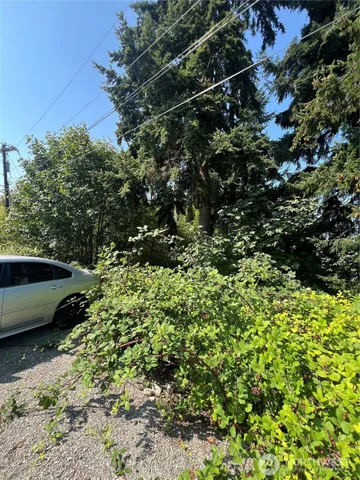 a view of a yard with plants