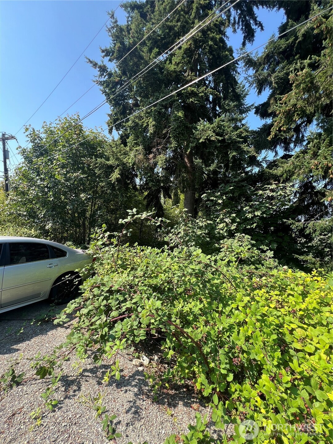 106 Xx Macarthur Lane Mukilteo, WA 98275 - Photo 5 of 9 a view of a yard with plants