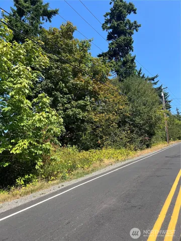 a view of a garden from a window