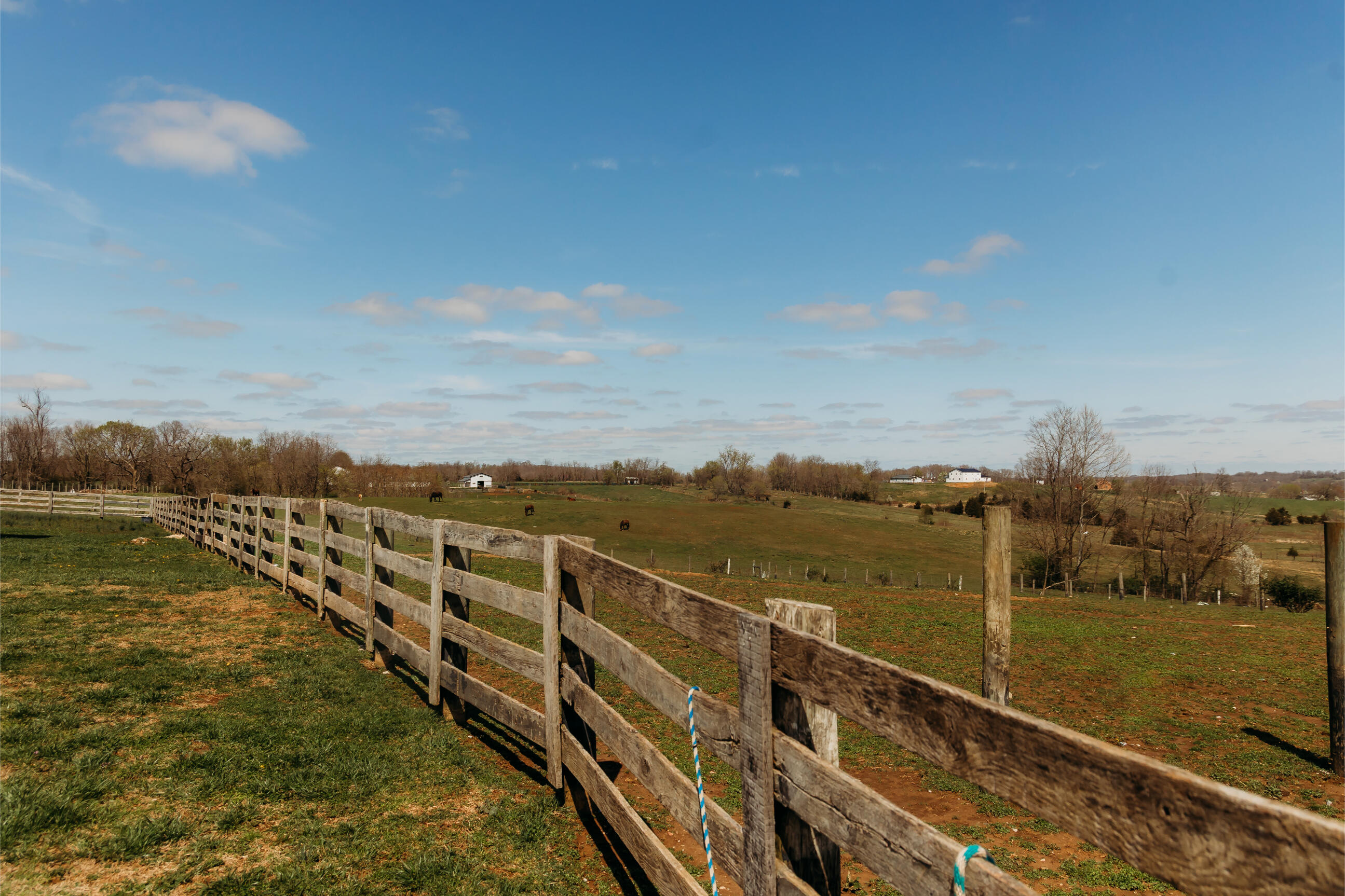 5124 Kendall Springs Road Owingsville, KY 40360 - Photo 19 of 35 Fenced Pasture