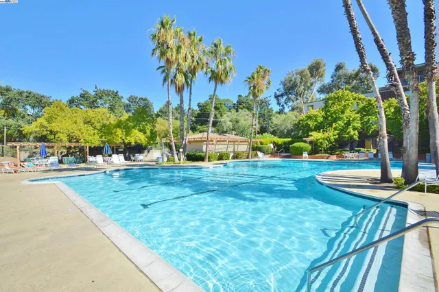 a view of a park with slide