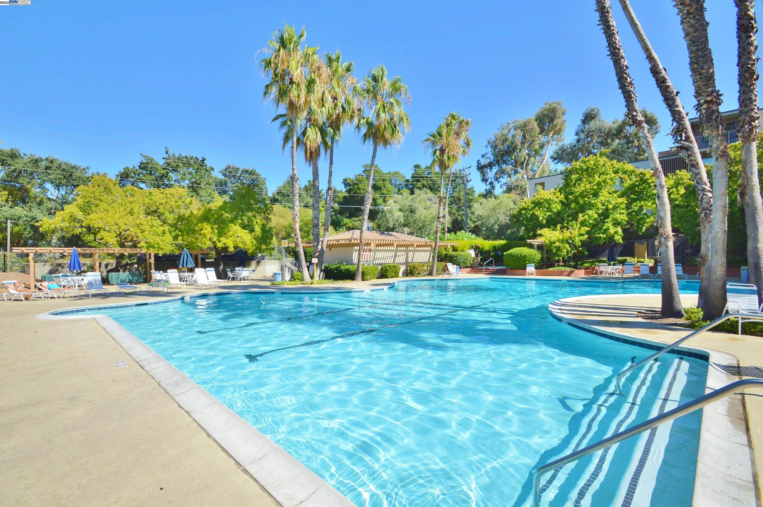 320 North Civic Drive, Unit 307 Walnut Creek, CA 94596 - Photo 30 of 37 a view of outdoor space yard and patio
