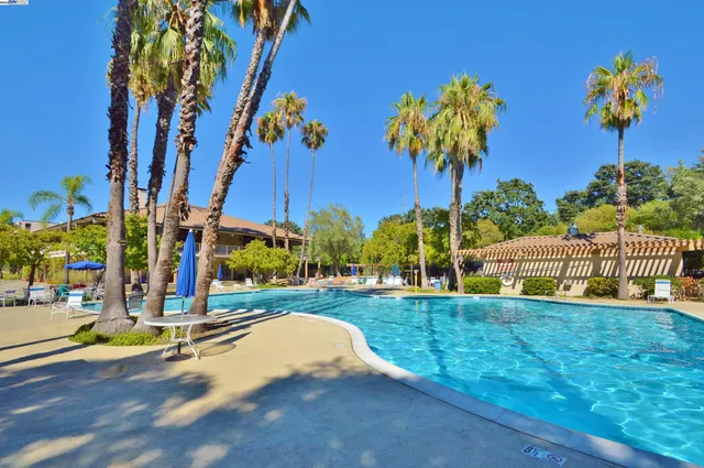 a view of a swimming pool with a lawn chairs under an umbrella