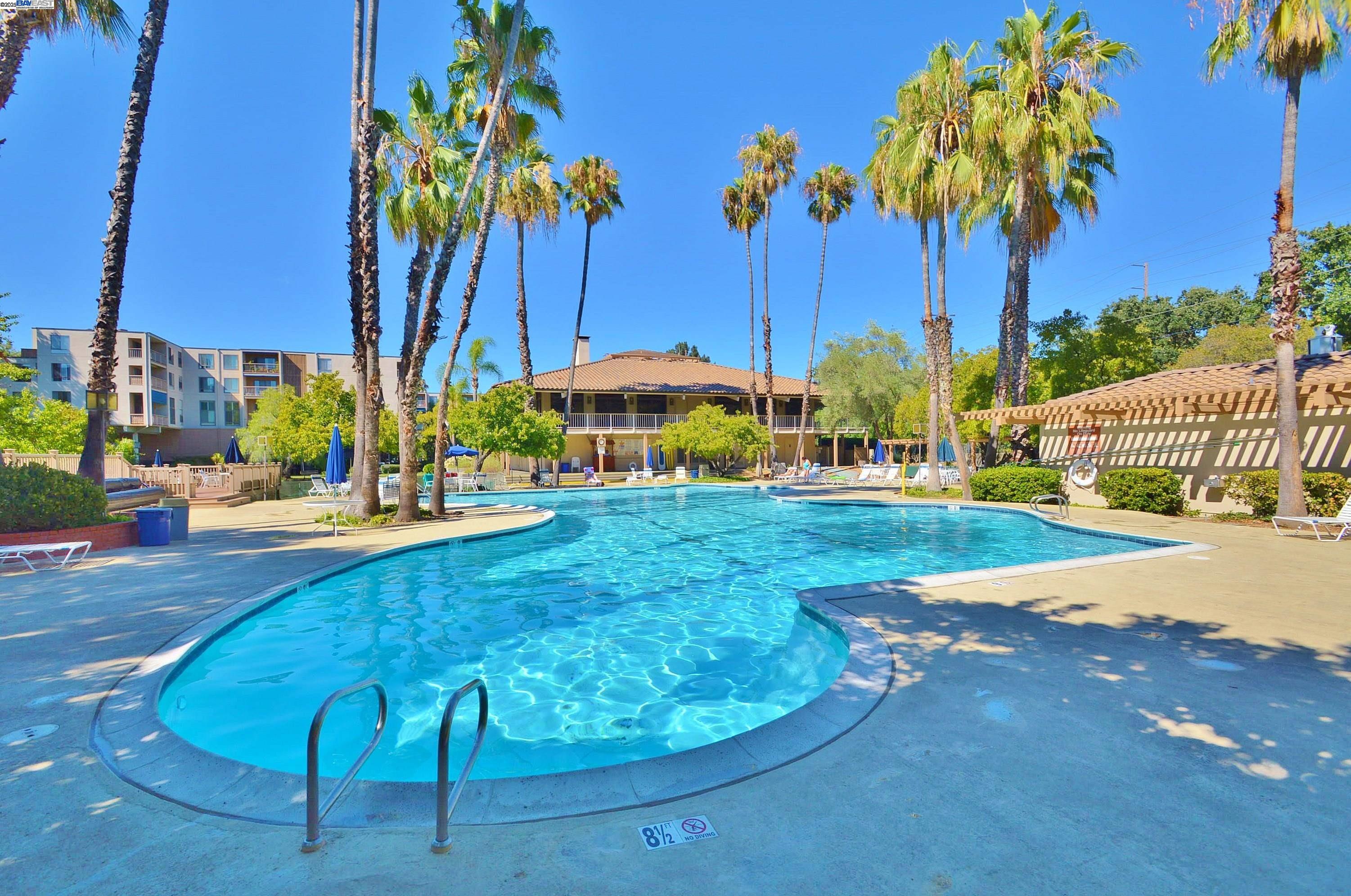 320 North Civic Drive, Unit 307 Walnut Creek, CA 94596 - Photo 32 of 37 a view of a swimming pool with a lawn chairs under an umbrella