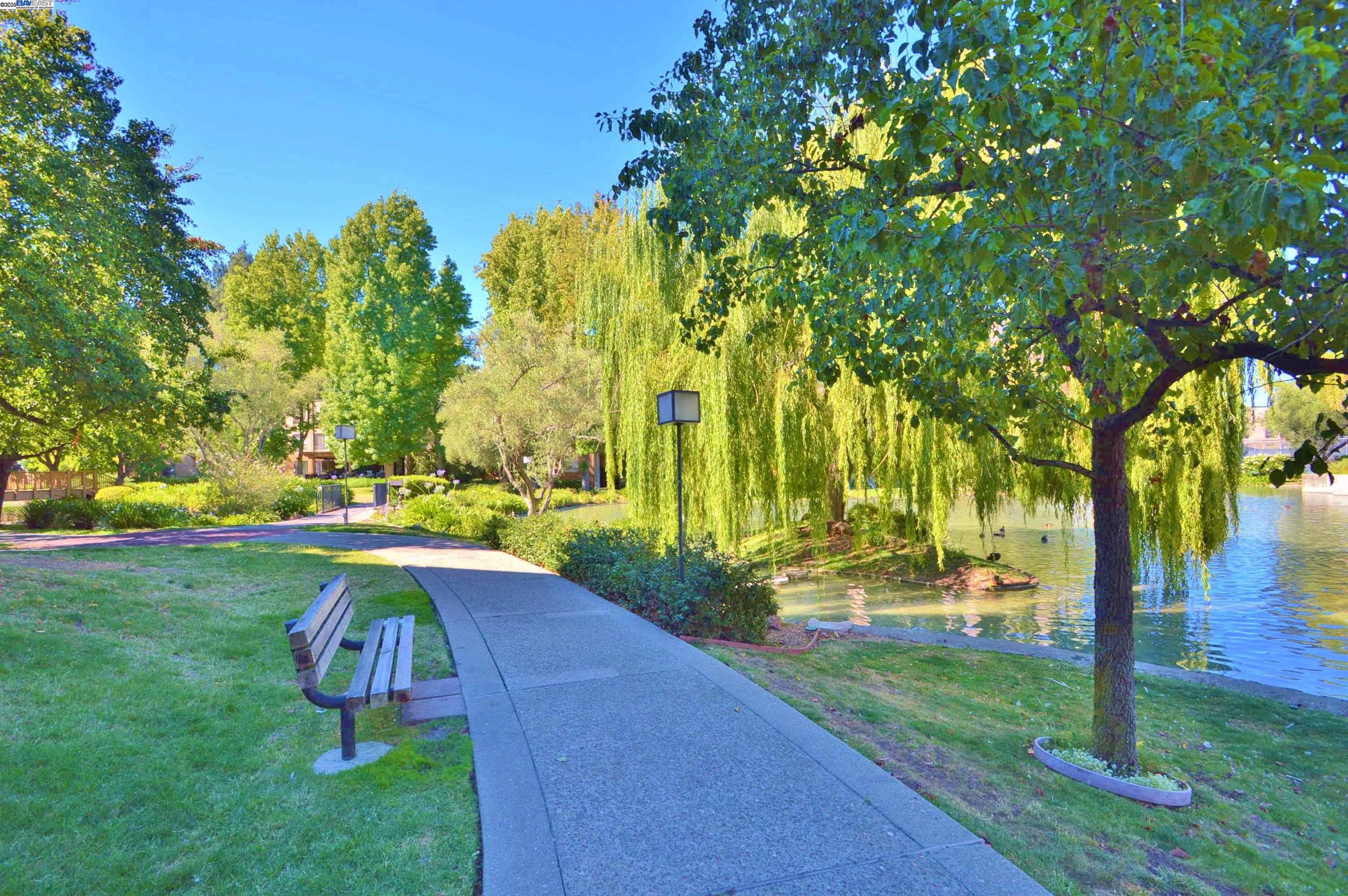 320 North Civic Drive, Unit 307 Walnut Creek, CA 94596 - Photo 34 of 37 a view of a park with large trees