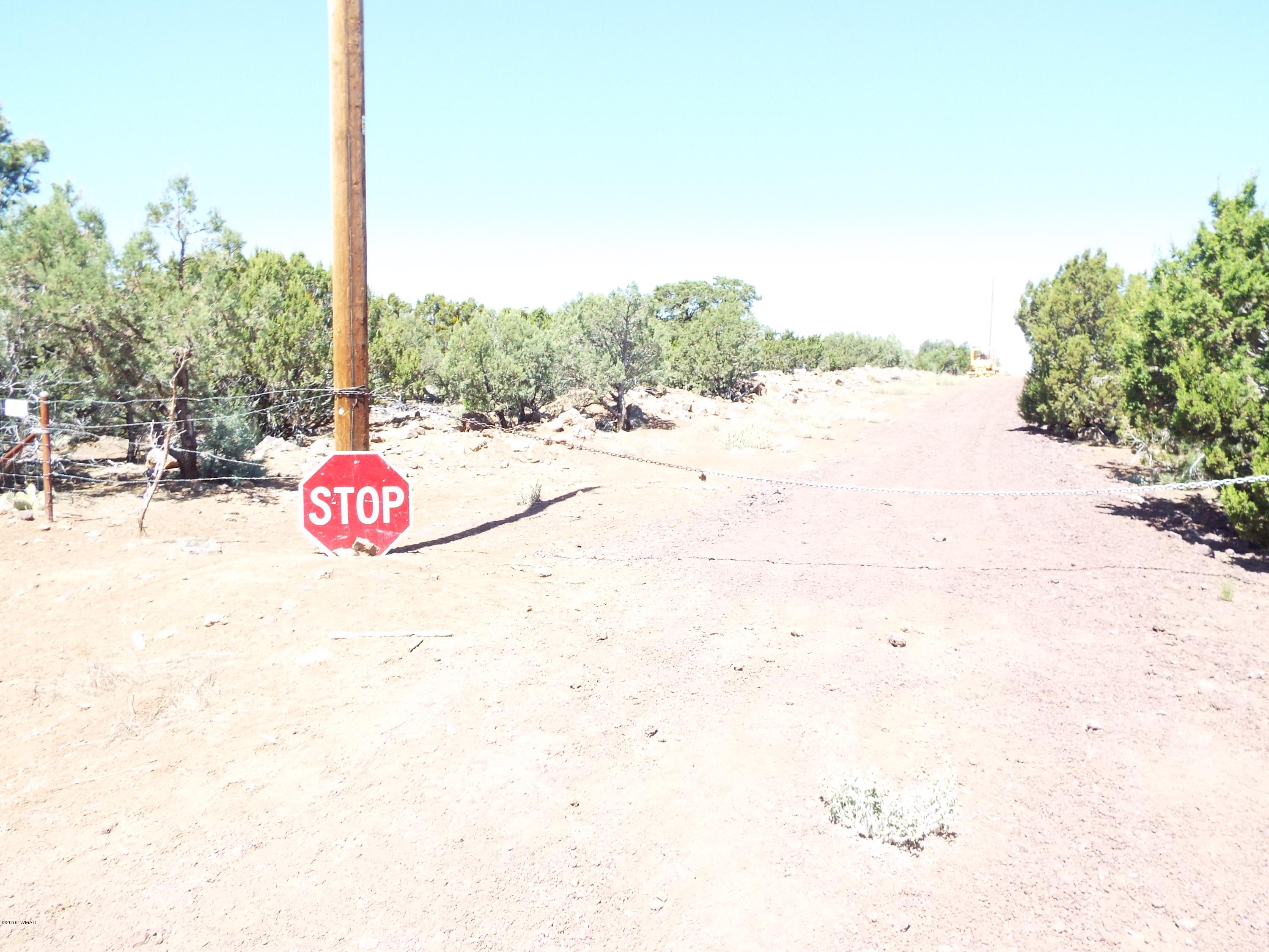 35739 C Highway 61 Concho, AZ 85924 - Photo 3 of 9