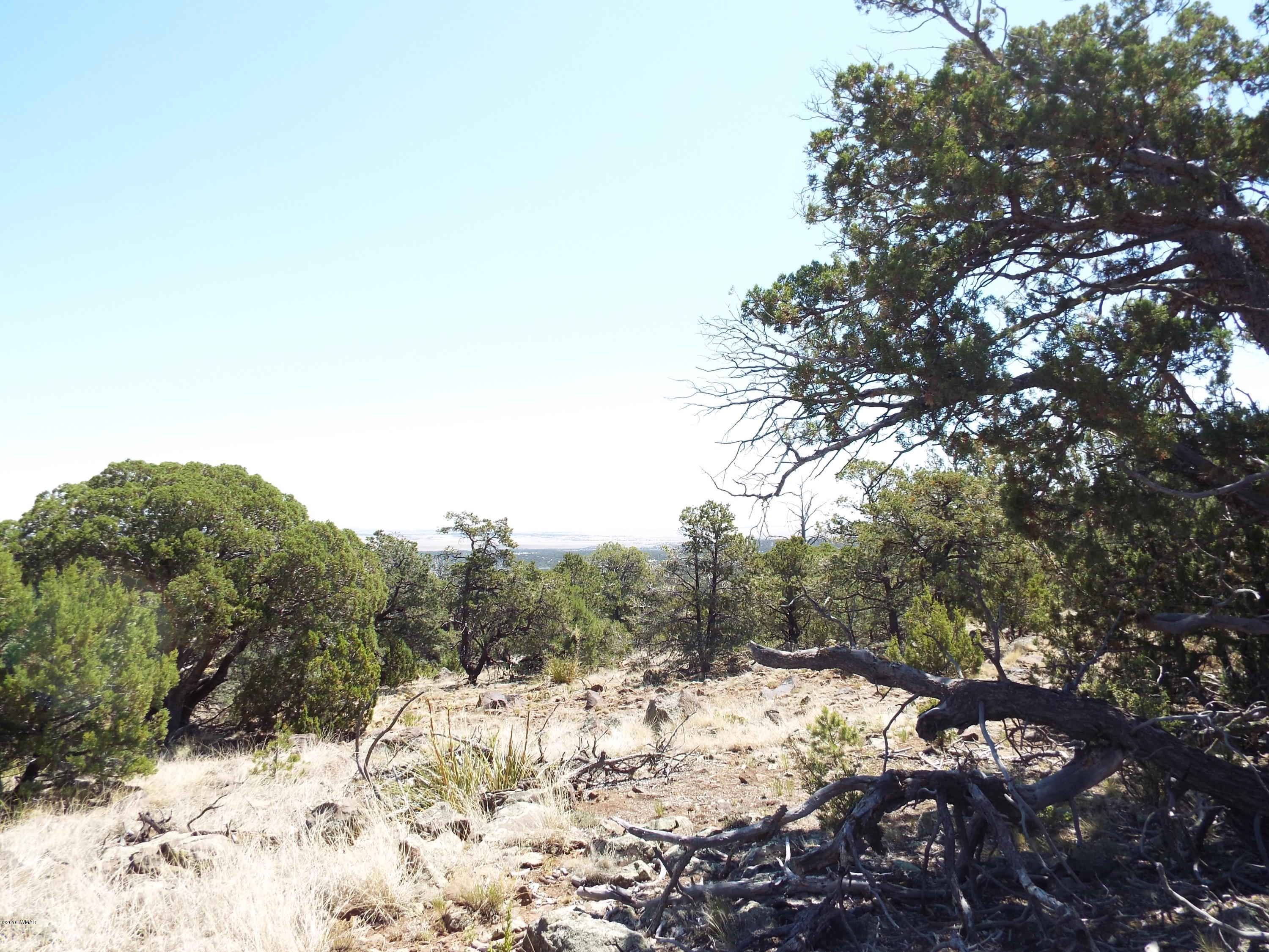35739 C Highway 61 Concho, AZ 85924 - Photo 5 of 9