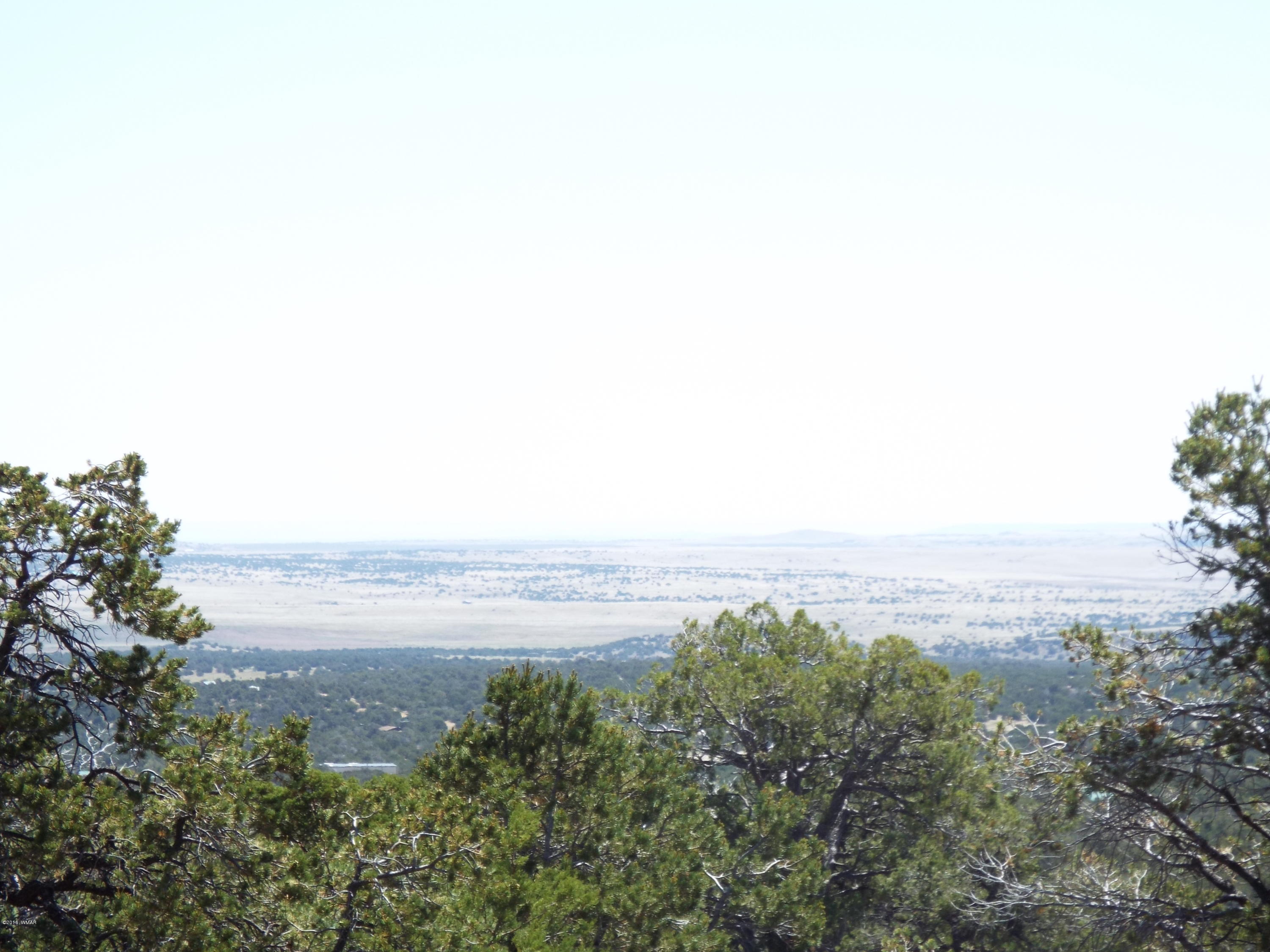 35739 C Highway 61 Concho, AZ 85924 - Photo 6 of 9
