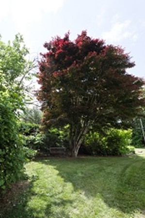 90 Saundersdale Road Charlton, MA 01507 - Photo 26 of 30