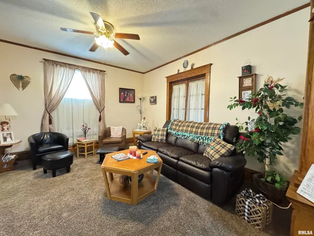 $255,000 | 337 West Chestnut Street, Oneida, IL 61467