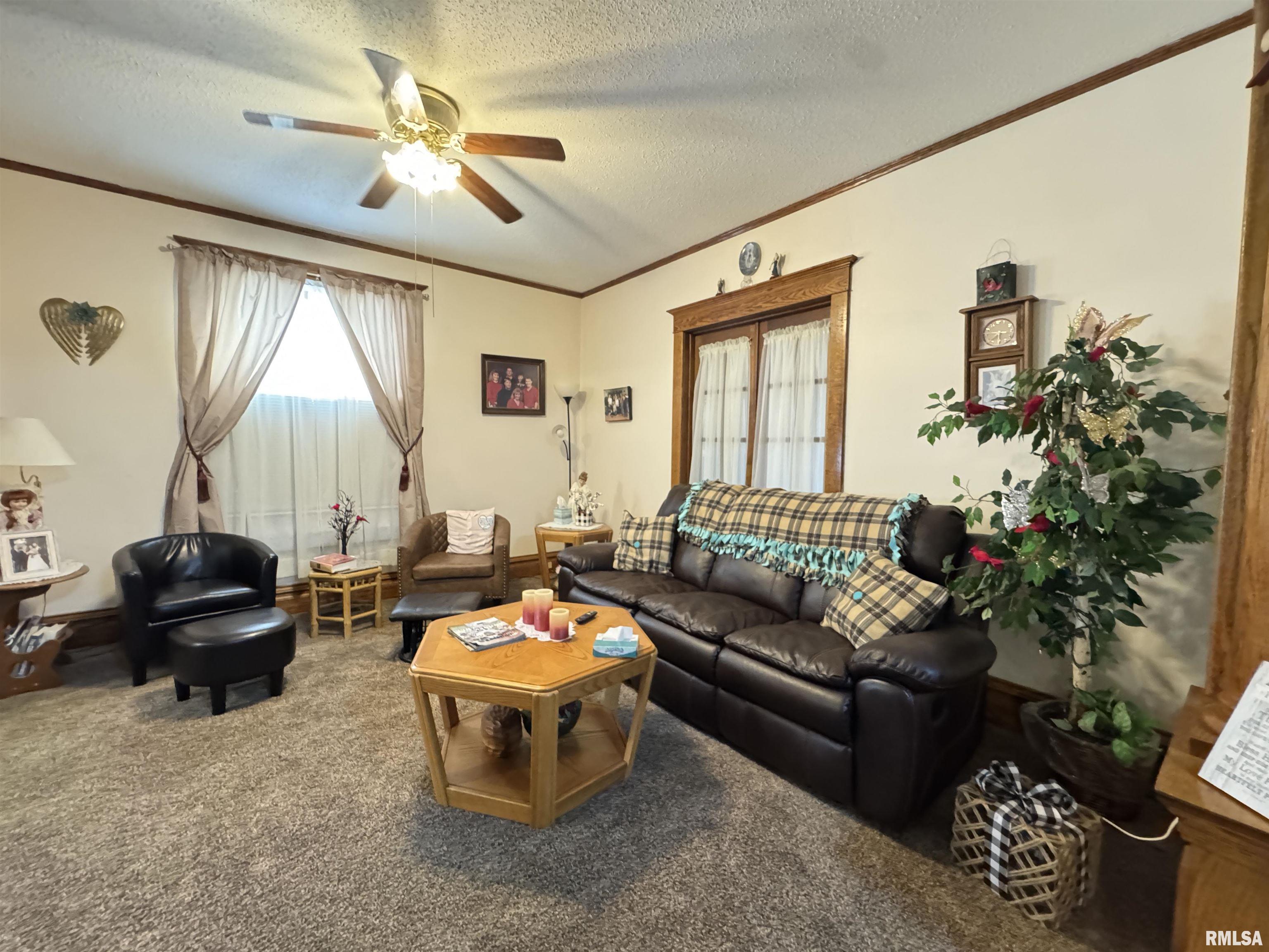 337 West Chestnut Street Oneida, IL 61467 - Photo 18 of 62