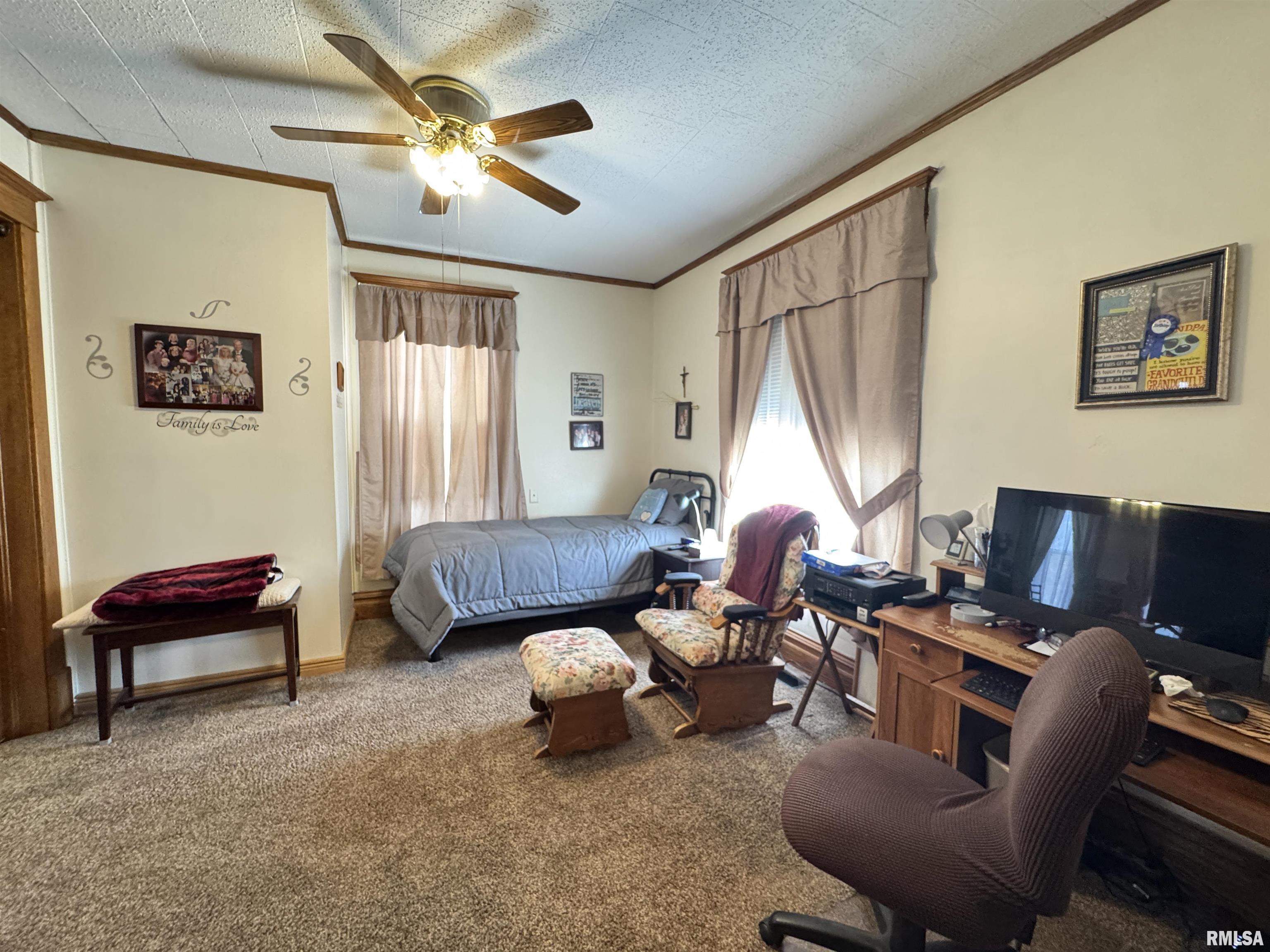 337 West Chestnut Street Oneida, IL 61467 - Photo 21 of 62