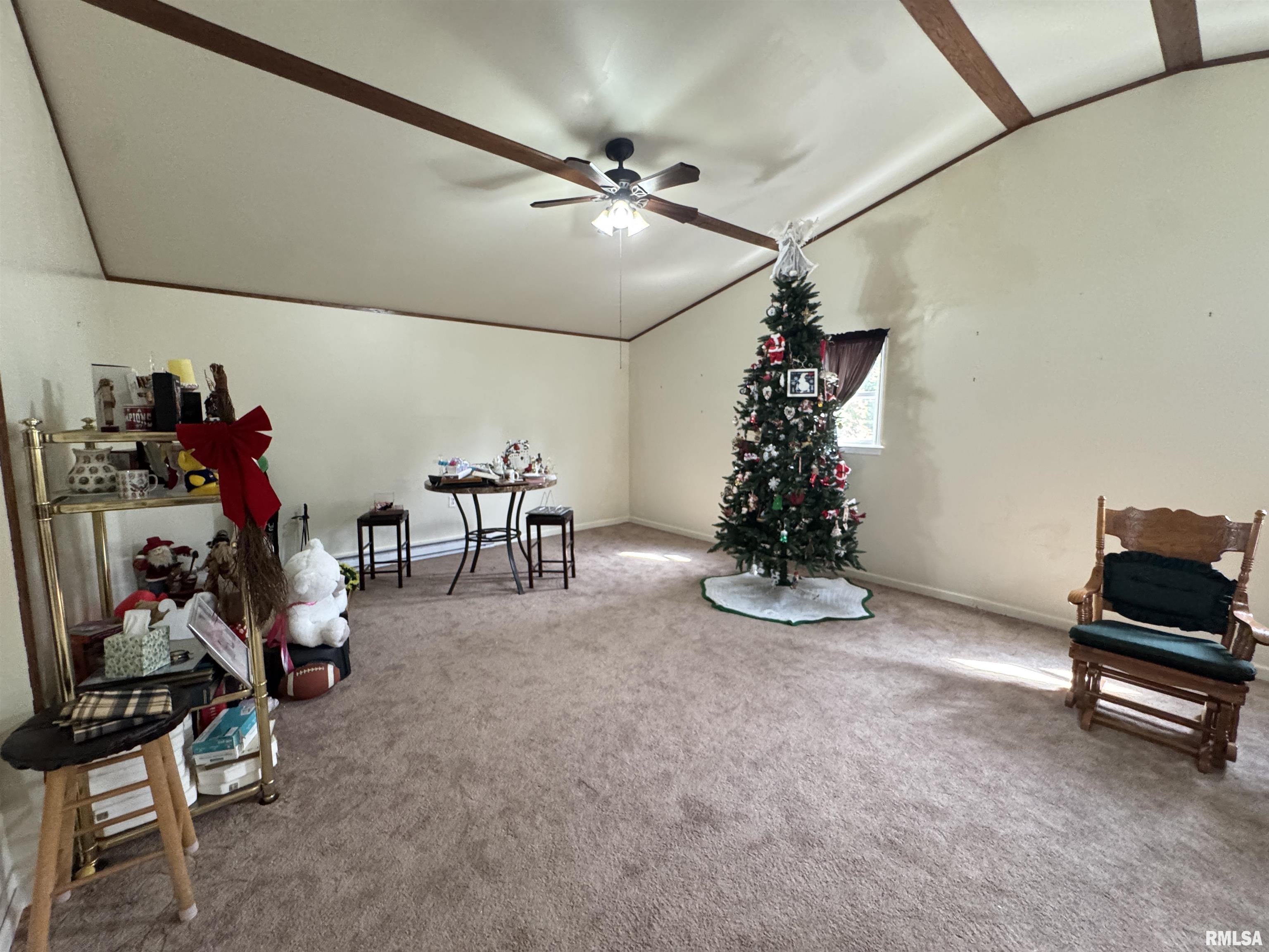 337 West Chestnut Street Oneida, IL 61467 - Photo 51 of 62