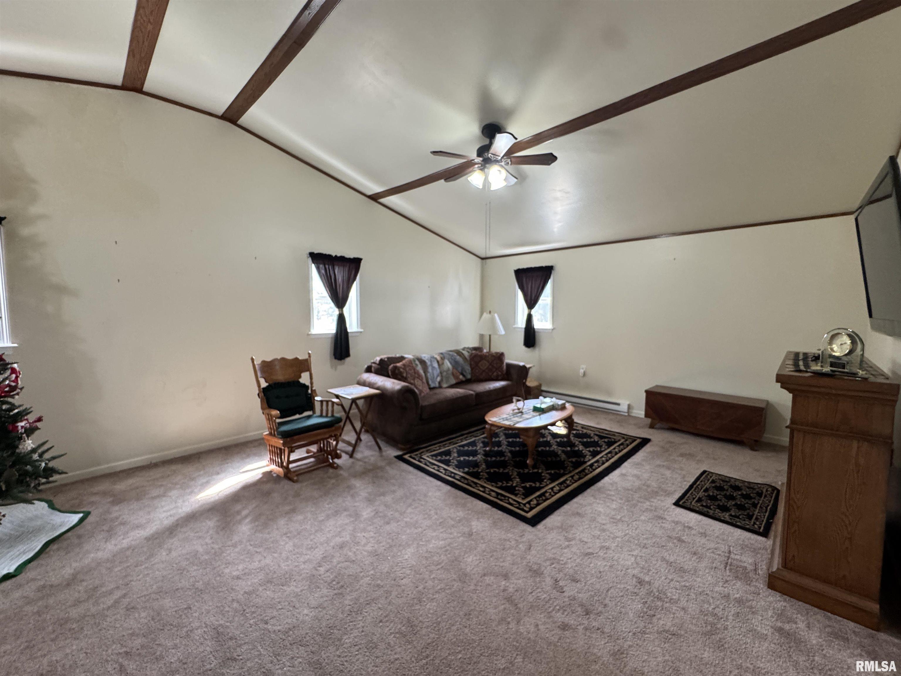 337 West Chestnut Street Oneida, IL 61467 - Photo 52 of 62