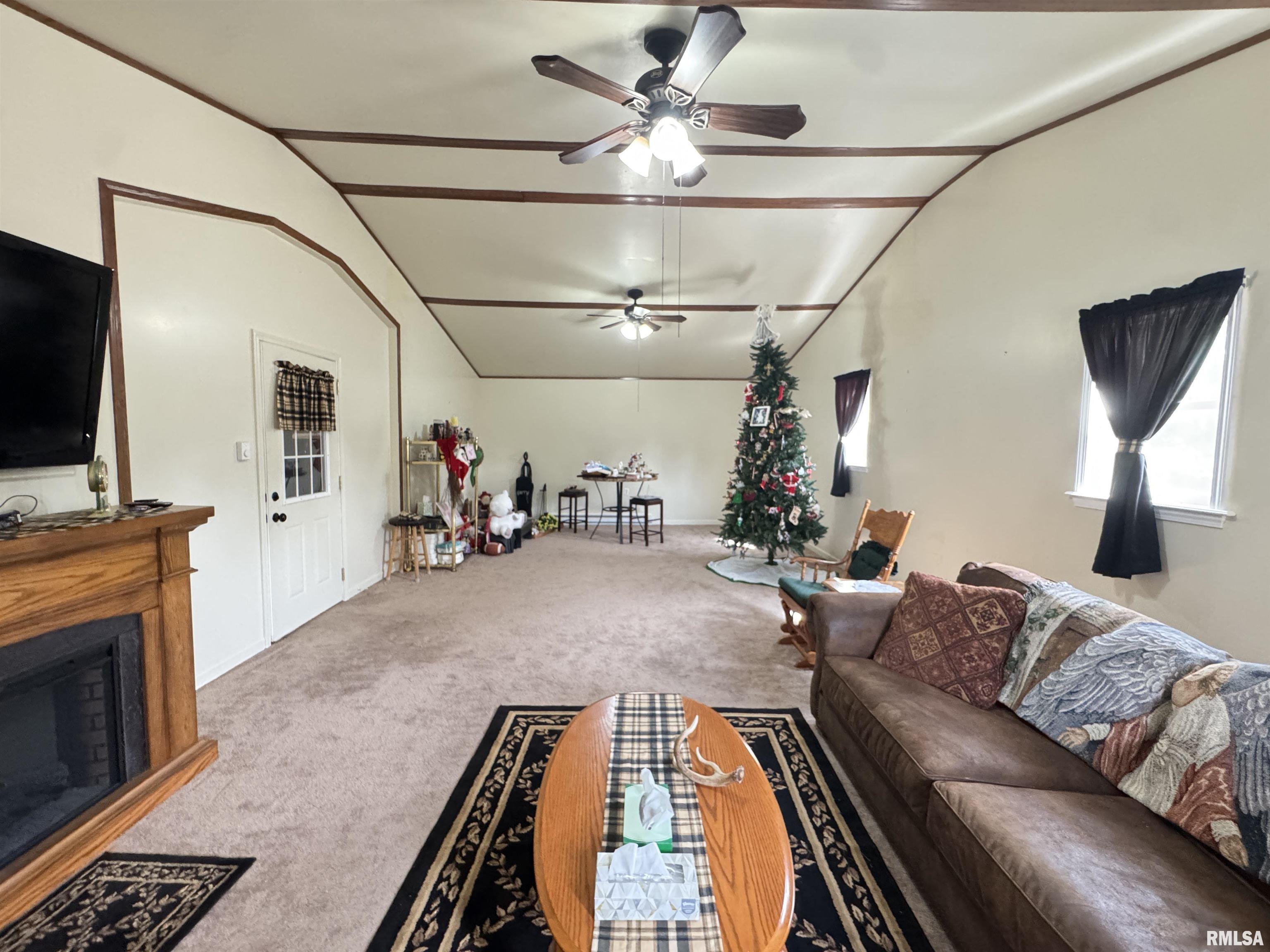 337 West Chestnut Street Oneida, IL 61467 - Photo 53 of 62