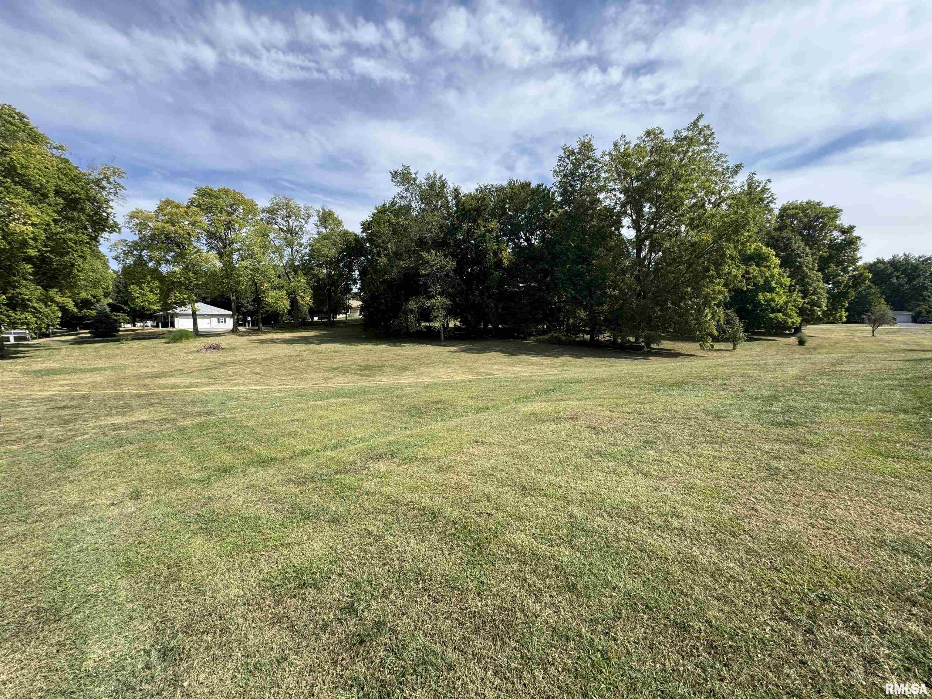 337 West Chestnut Street Oneida, IL 61467 - Photo 6 of 62