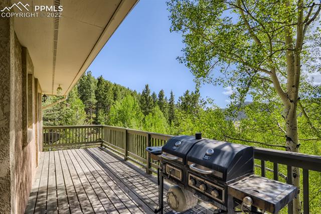 165 Timber Ridge Road Divide, CO 80814 - Photo 19 of 23