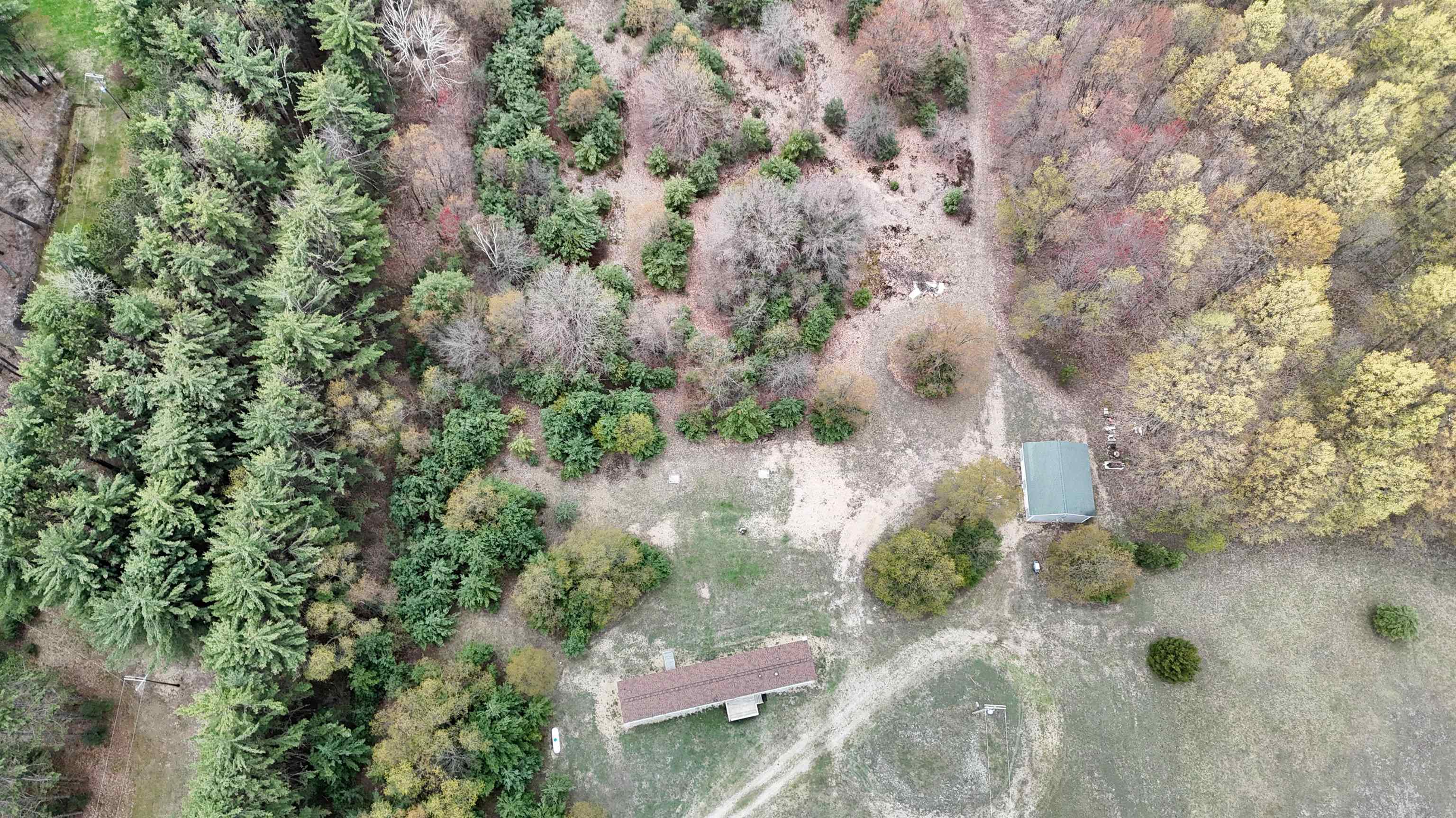 7274 South Forward Road McBain, MI 49657 - Photo 70 of 76
