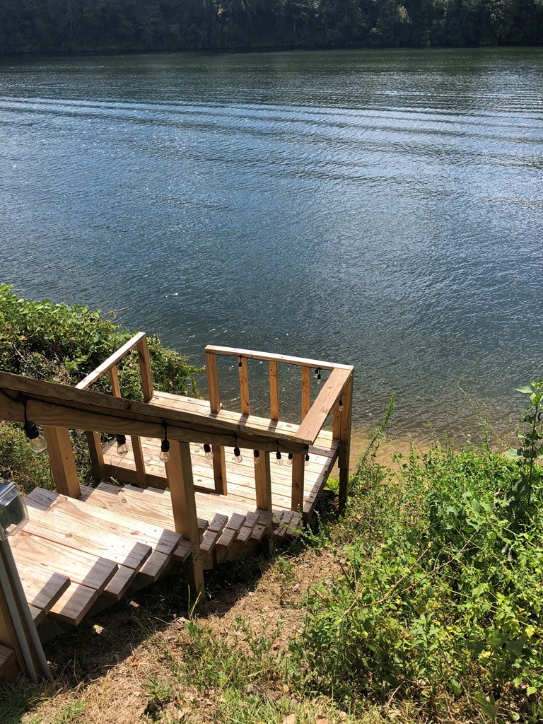129 River Road Columbia, AL 36319 - Photo 3 of 9