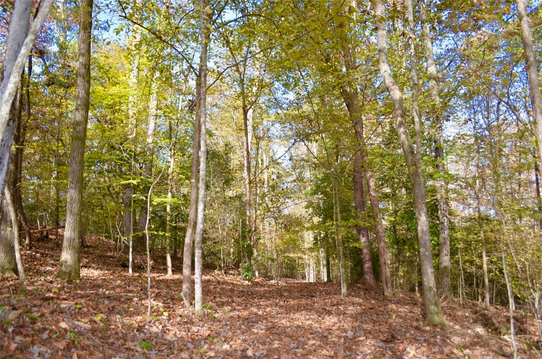 137 Blue Jay Road Central, SC 29630 - Photo 43 of 43 Gallery Image 43