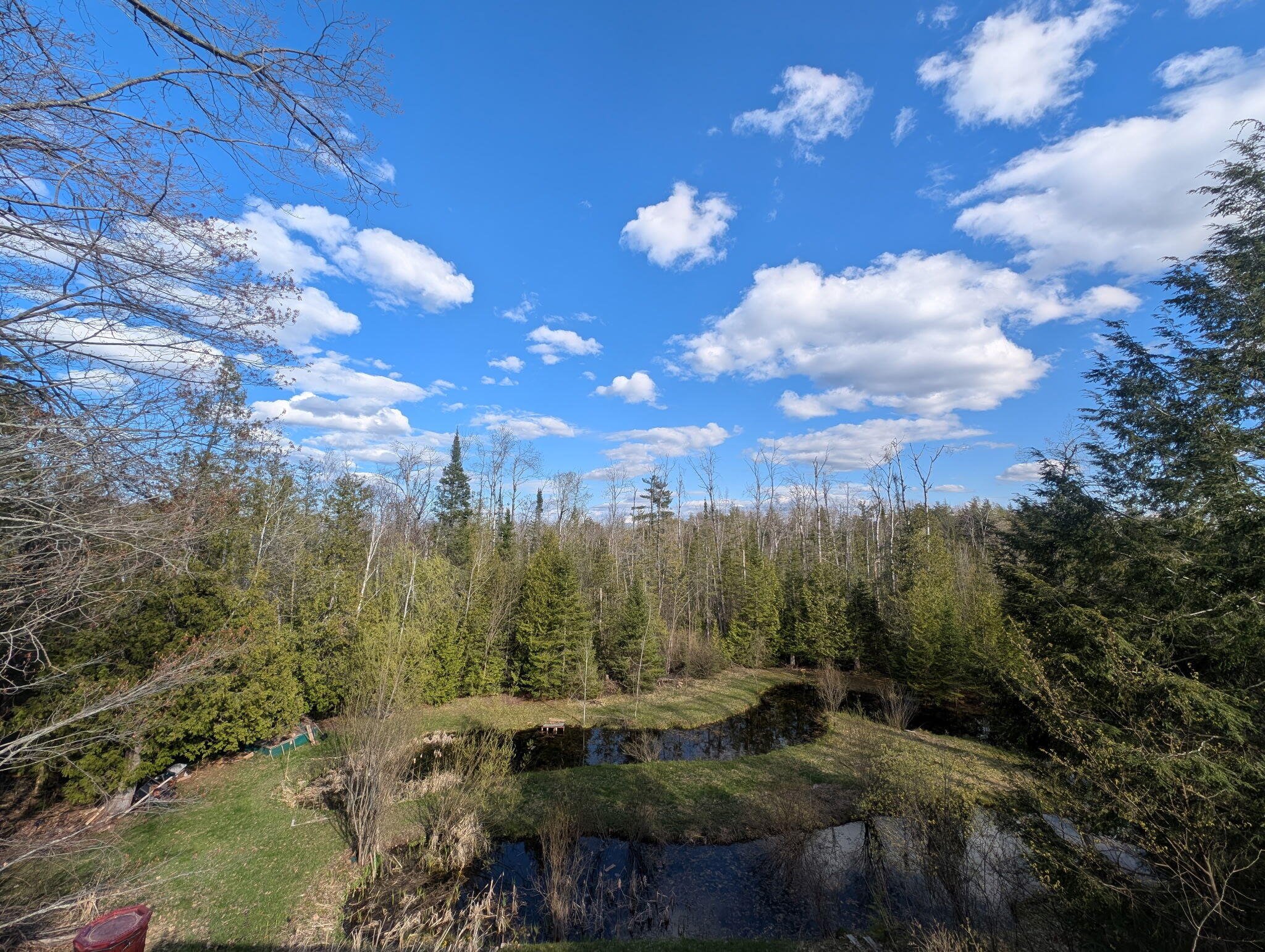 988 Ranch Road Indian River, MI 49749 - Photo 15 of 52 View of pond off deck