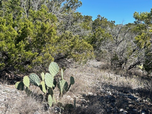 Lot 418 Private Road 1748 Road Mico, TX 78056 - Photo 6 of 16