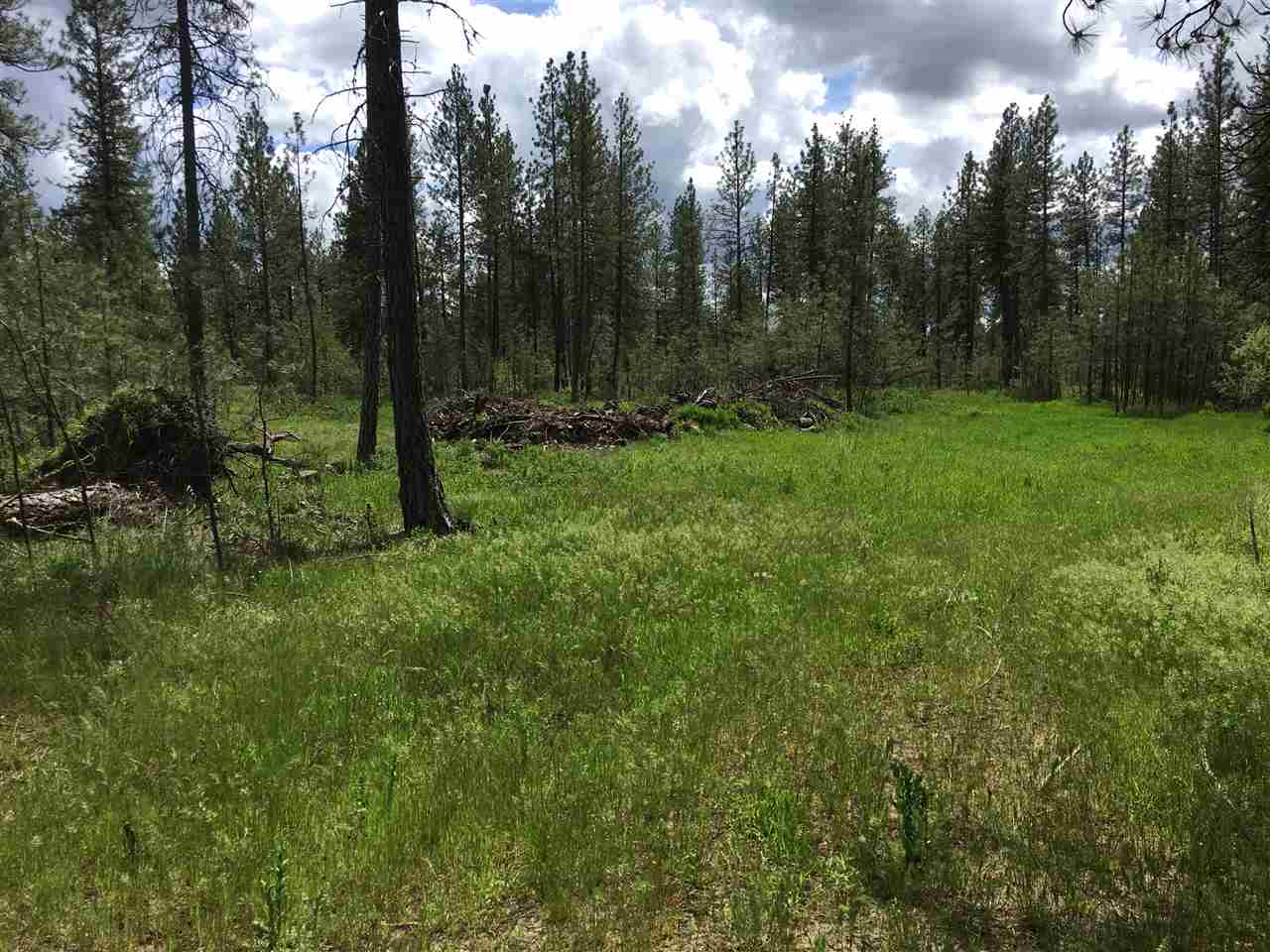 180-xx Salnave Road Cheney, WA 99004 - Photo 11 of 14 Gallery Image 11