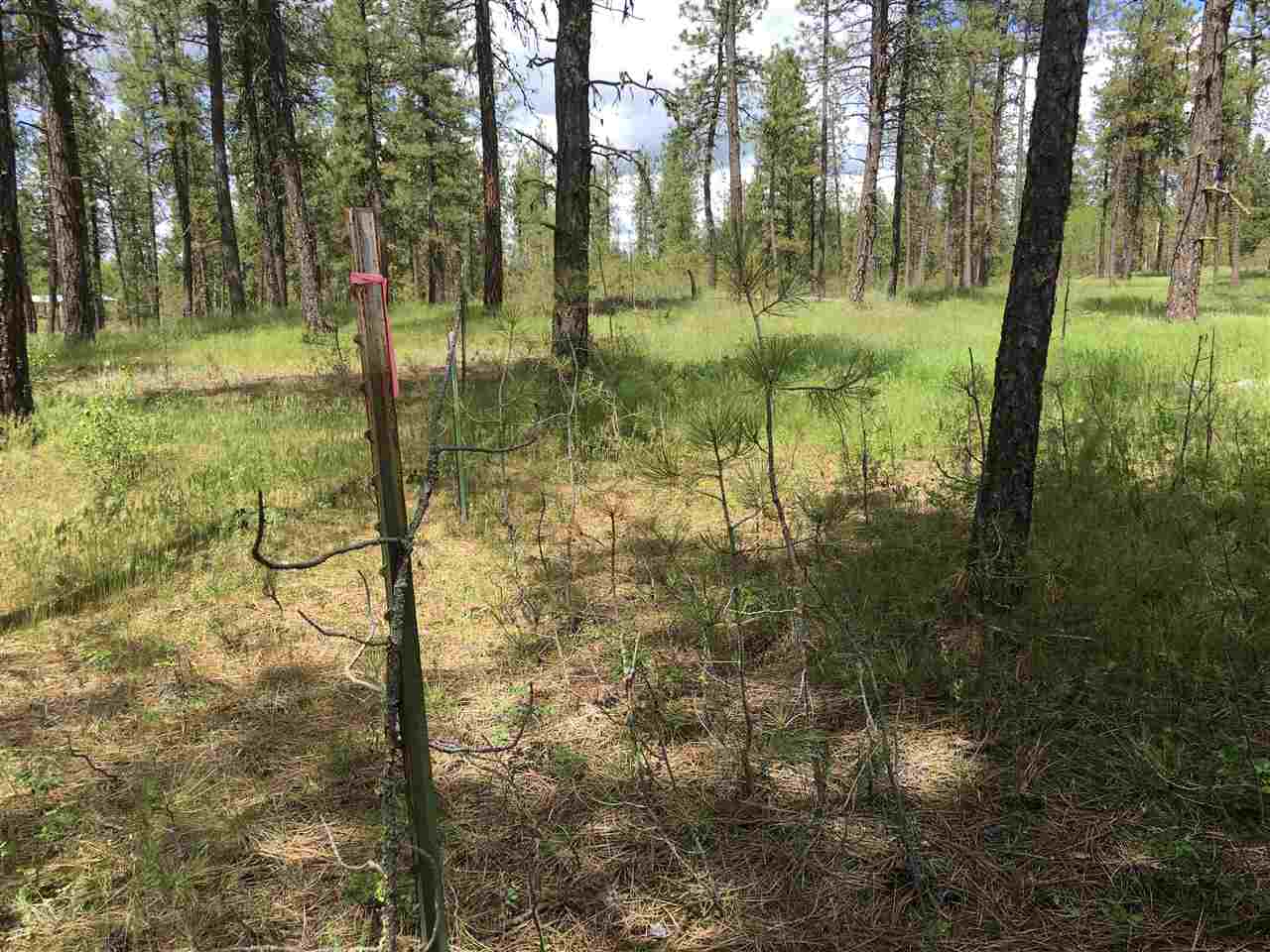 180-xx Salnave Road Cheney, WA 99004 - Photo 12 of 14 Gallery Image 12