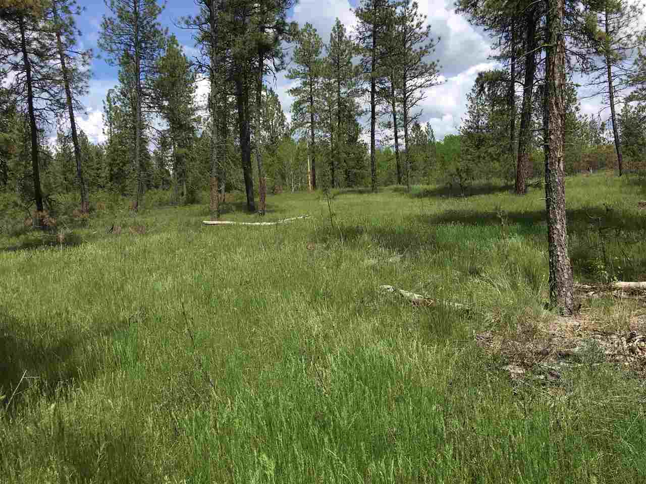 180-xx Salnave Road Cheney, WA 99004 - Photo 13 of 14 Gallery Image 13