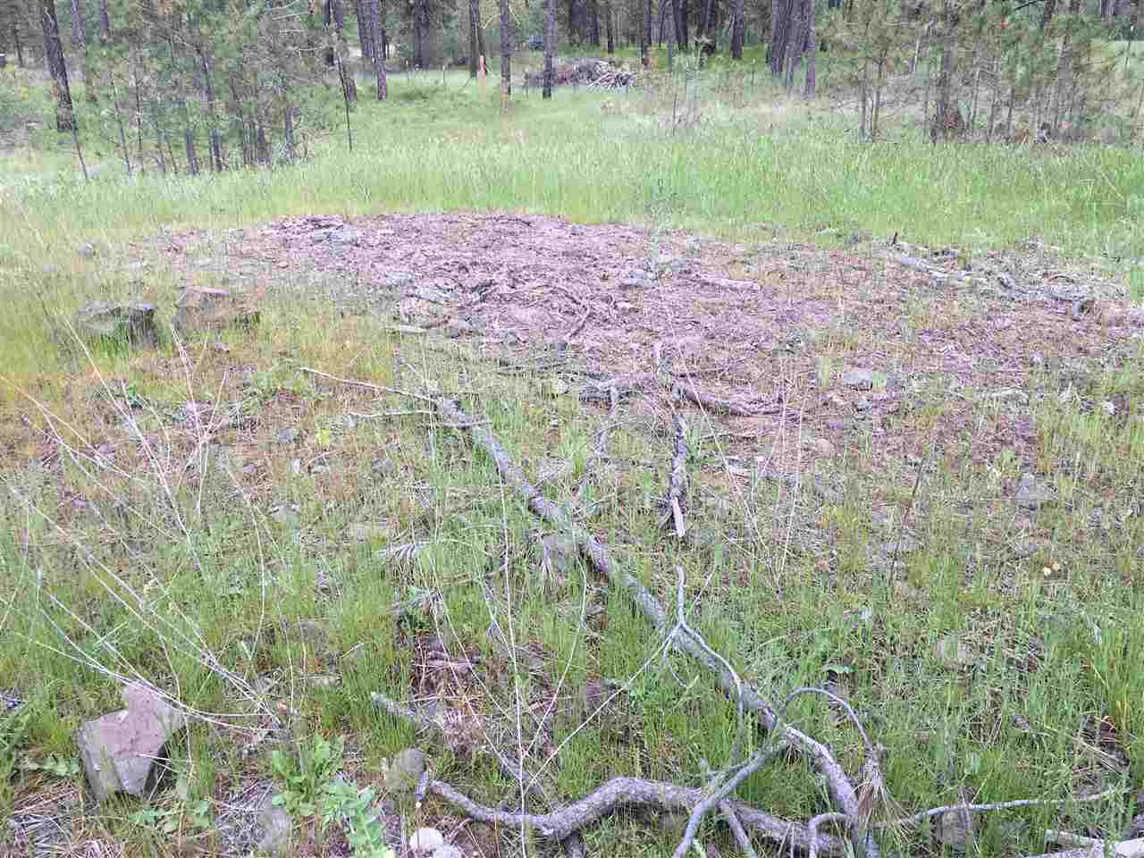 180-xx Salnave Road Cheney, WA 99004 - Photo 14 of 14 Gallery Image 14