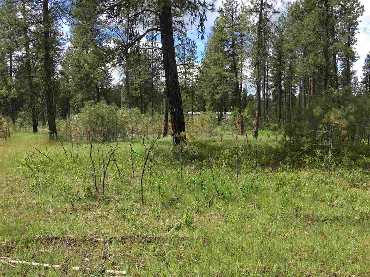 180-xx Salnave Road Cheney, WA 99004 - Photo 9 of 14 Gallery Image 9