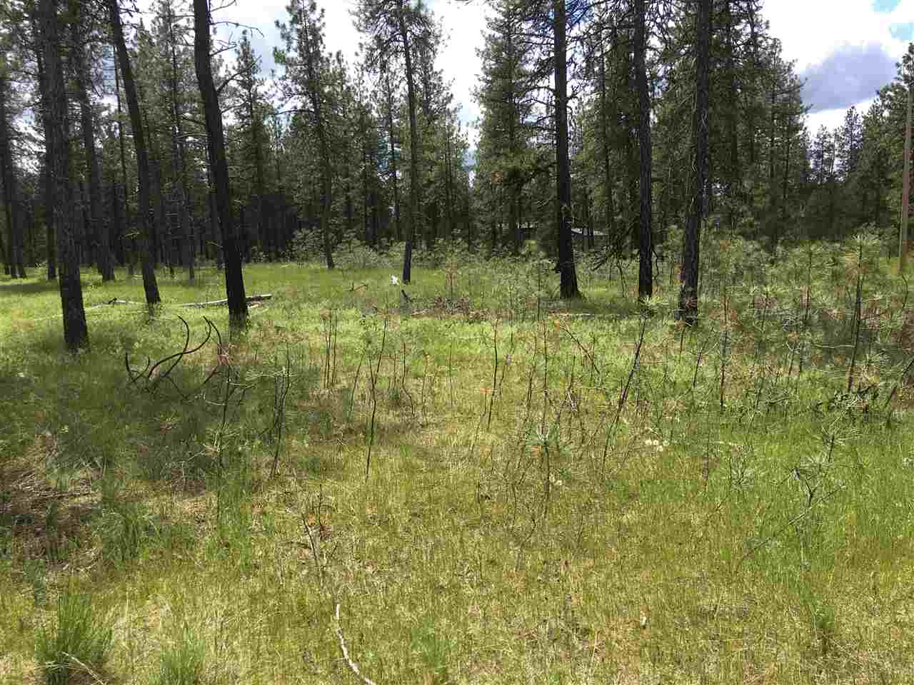 180-xx Salnave Road Cheney, WA 99004 - Photo 10 of 14 Gallery Image 10