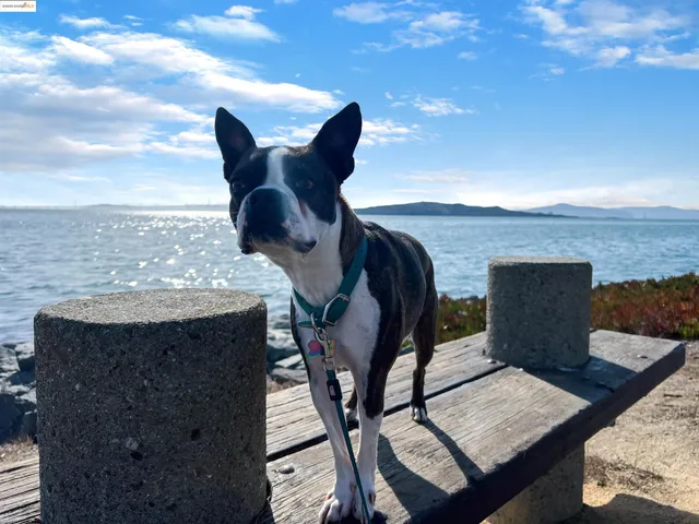 $539,000 | 96 Bayside Court, Richmond, CA 94804