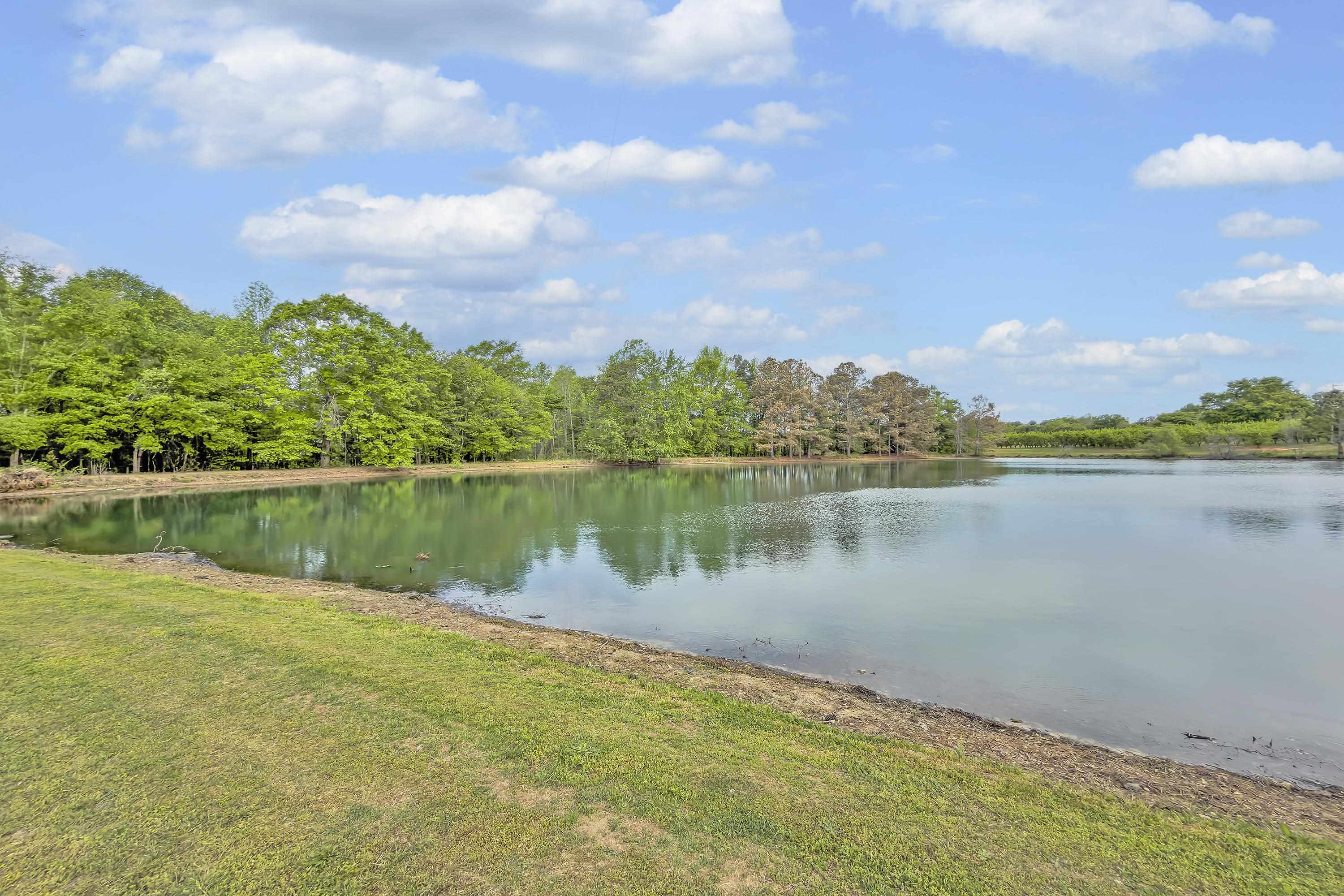 959 Turkey Farm Road Chesnee, SC 29323 - Photo 29 of 36