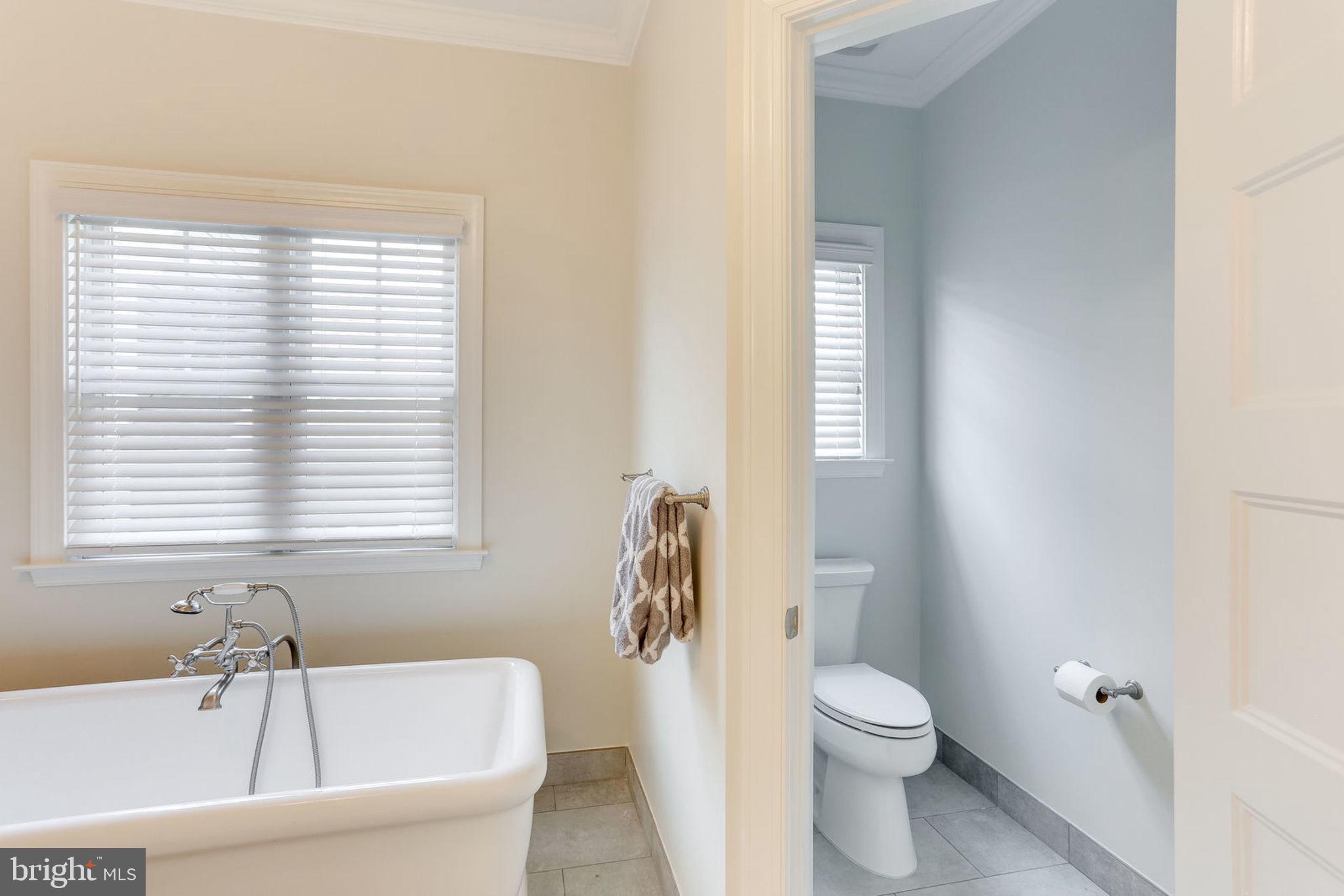 6920 Mt Daniel Drive Falls Church, VA 22046 - Photo 16 of 34 Master Bathroom Toilet Closet