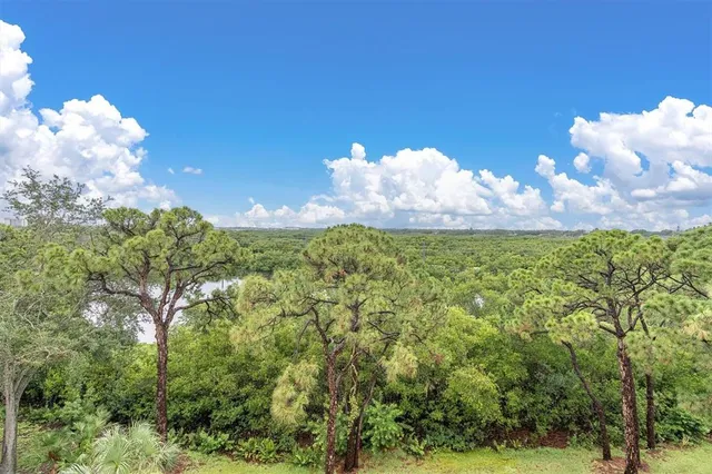 a view of a back yard of the house along with trees
