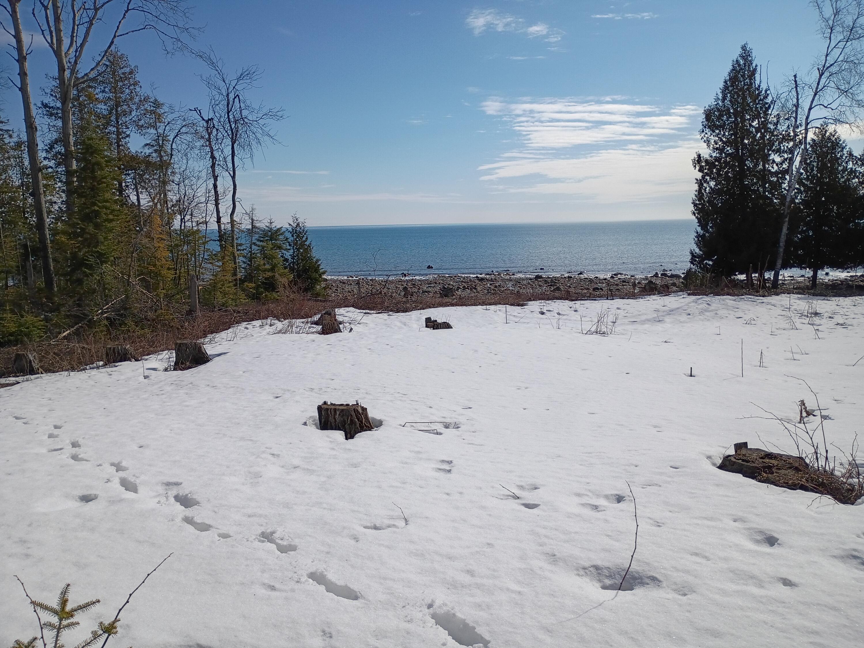 6777 Swimmers Cove Road Alpena, MI 49707 - Photo 7 of 19 126