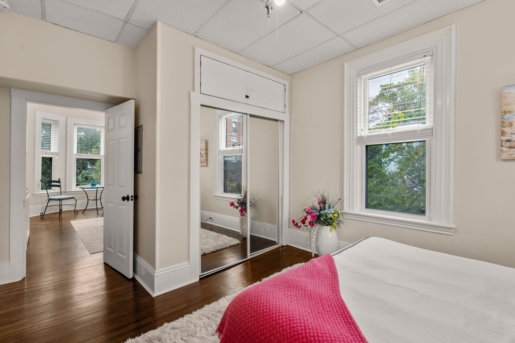 100 Magazine Street, Unit 2 Cambridge, MA 02139 - Photo 9 of 15 a spacious bedroom with a bed and a potted plant