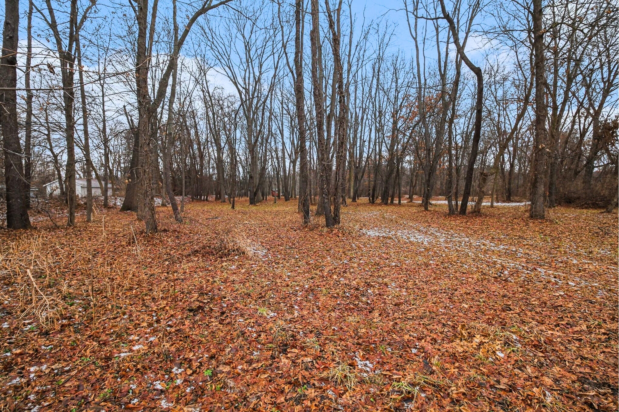 Winters Lane Whitmore Lake, MI 48189 - Photo 14 of 16 Winters Lane_13