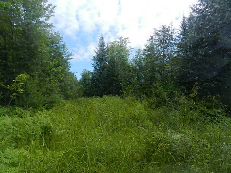 107 Ford Hill Road Hartland, ME 04943 - Photo 7 of 27 Land.
