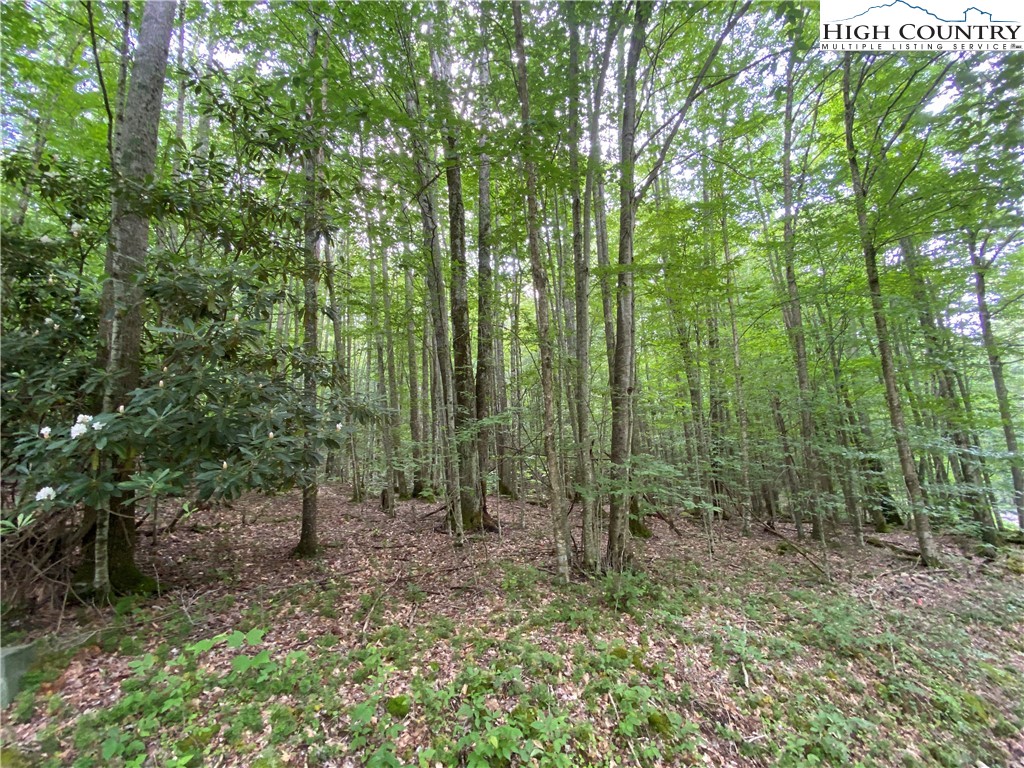 Lot 7 Buckeye Ridge Road Beech Mountain, NC 28604 - Photo 1 of 6 Gallery Image 1