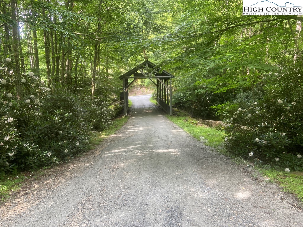 Lot 7 Buckeye Ridge Road Beech Mountain, NC 28604 - Photo 6 of 6 Gallery Image 6