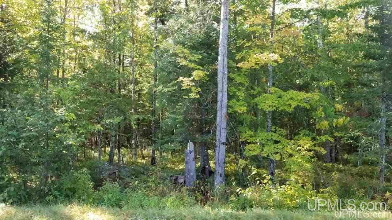 Tbd Idlewild Road Crystal Falls, MI 49920 - Photo 5 of 13