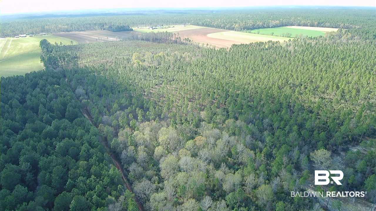 3 Red Cloud Road Baker, FL 32531 - Photo 5 of 14