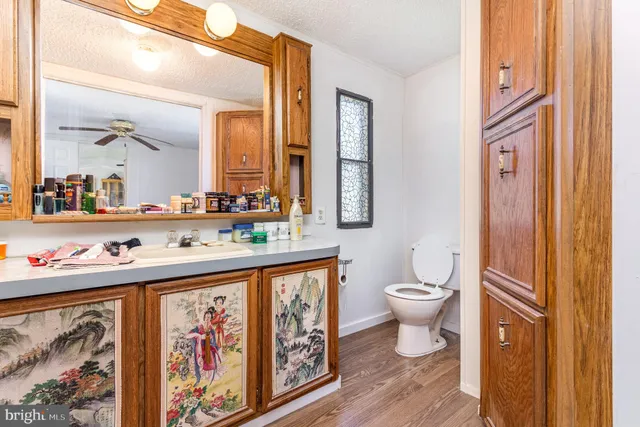 a bathroom with a sink mirror vanity and toilet
