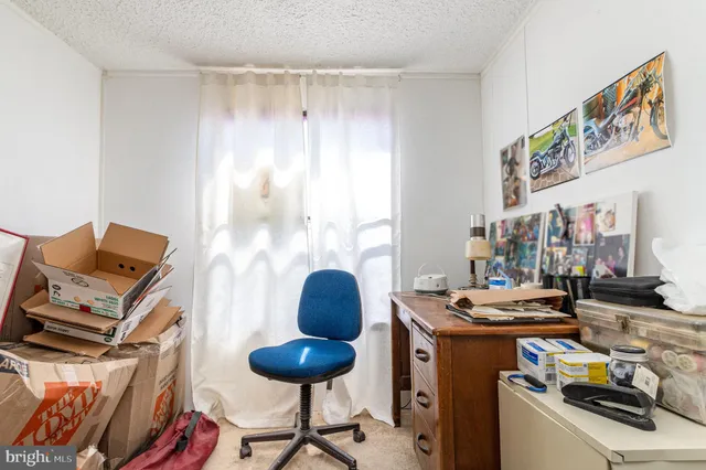 a room with furniture and a lamp